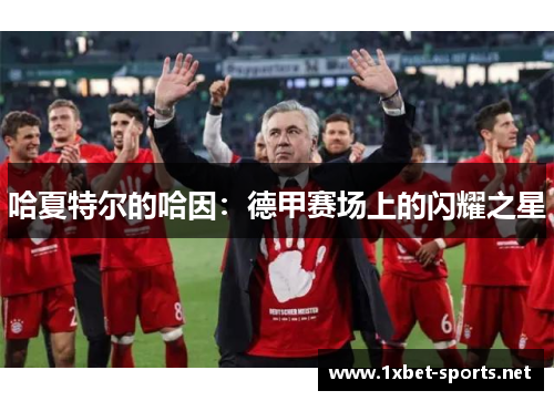 哈夏特尔的哈因：德甲赛场上的闪耀之星